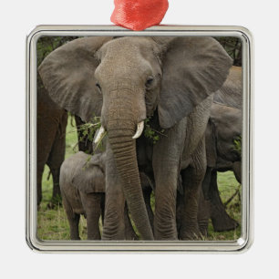 African Elephant Herd Metal Tree Decoration