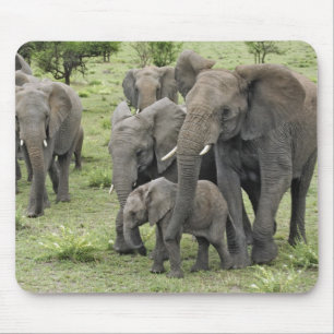 African Elephant Herd Mouse Mat