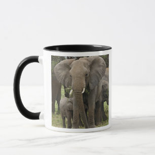 African Elephant   Herd Mug