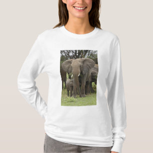 African Elephant Herd T-Shirt