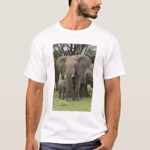 African Elephant Herd T-Shirt