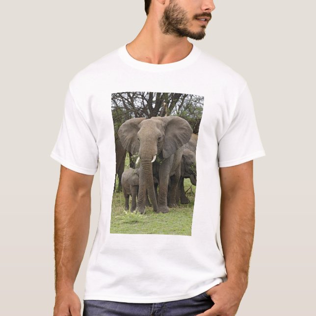 African Elephant | Herd T-Shirt (Front)
