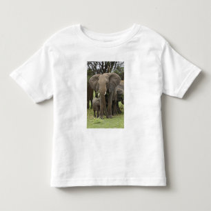 African Elephant   Herd Toddler T-Shirt