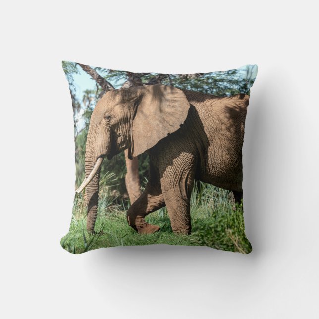 African Elephant in the Safari Cushion (Front)