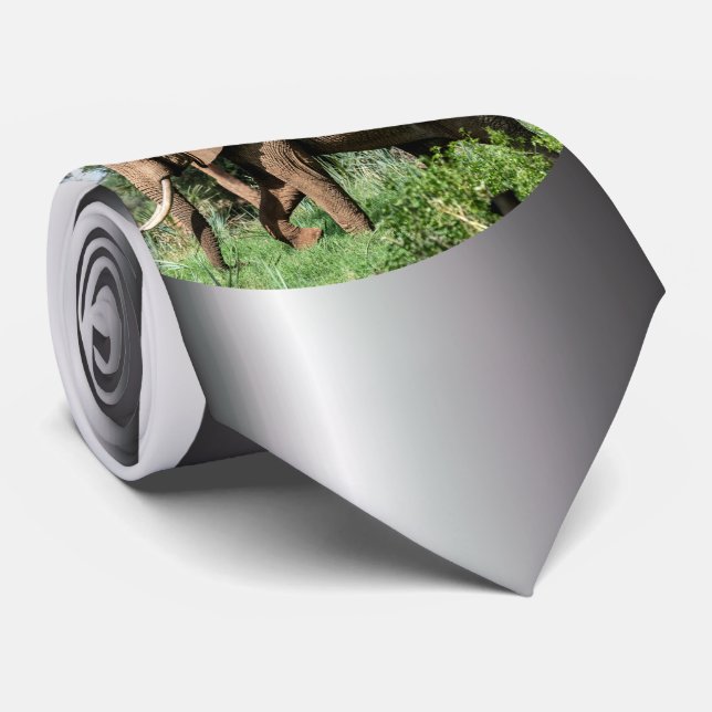 African Elephant in the Safari Tie (Rolled)