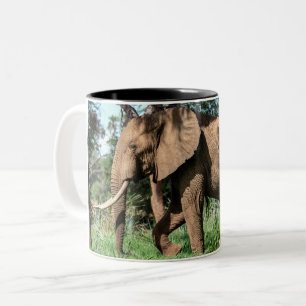 African Elephant in the Safari Two-Tone Coffee Mug
