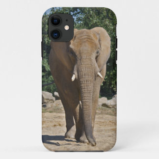 African Elephant iPhone 5 Case-Mate Case