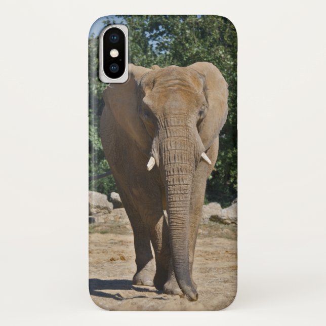 African Elephant iPhone X Case (Back)