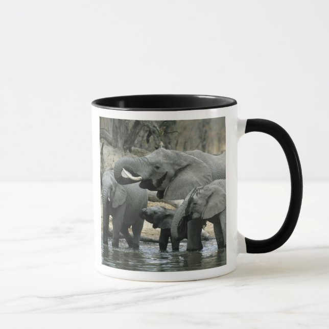 African Elephant, (Loxodonta africana), drinking Mug (Right)