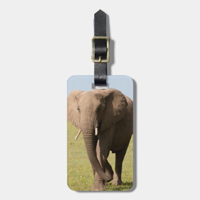 African Elephant (Loxodonta Africana), Maasai Luggage Tag (Front Vertical)