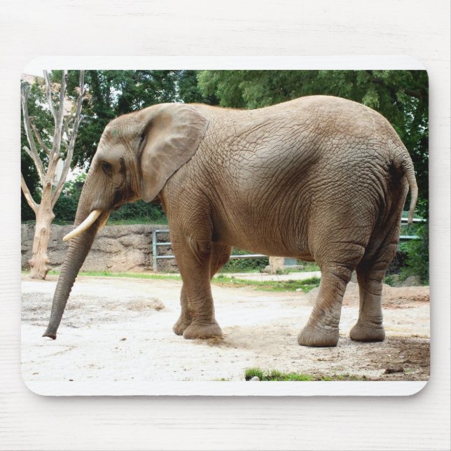 African elephant mouse mat (Front)