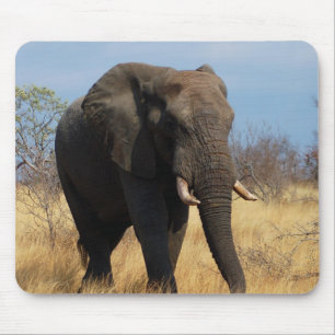 African Elephant Mouse Mat