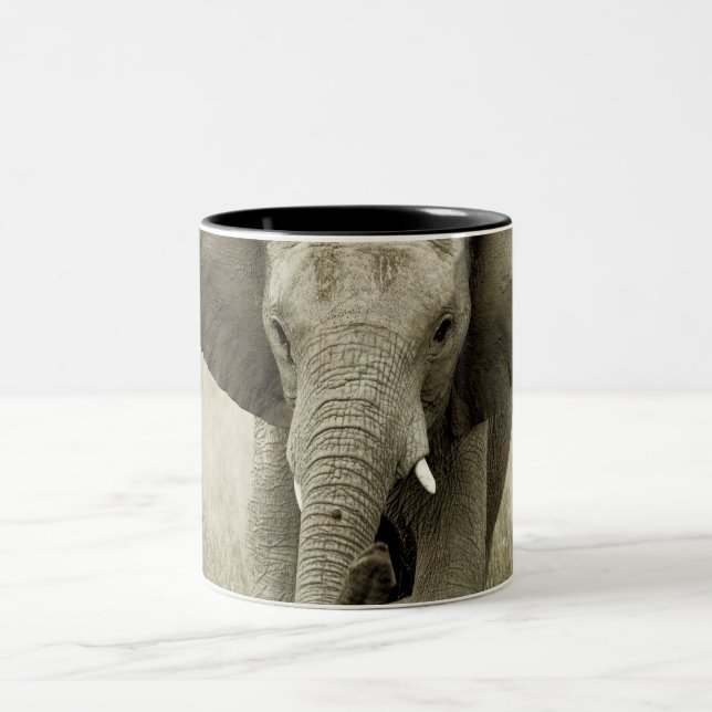 African Elephant mugs & cups (Center)
