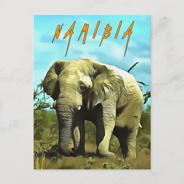 African elephant, Namibia Postcard (Front)