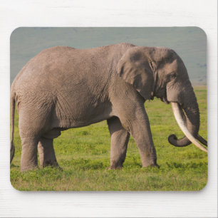 African Elephant, Ngorongoro Conservation Area Mouse Mat