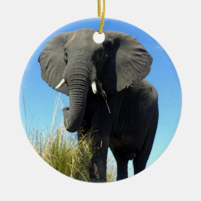 African Elephant Ornament (Front)