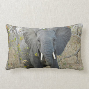 African Elephant Pillow