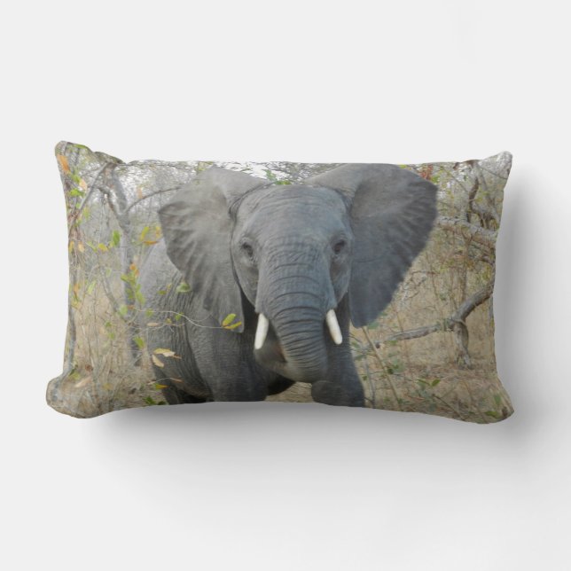 African Elephant Pillow (Front)