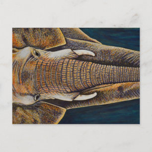 African Elephant Postcard