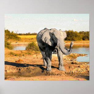 African Elephant Poster