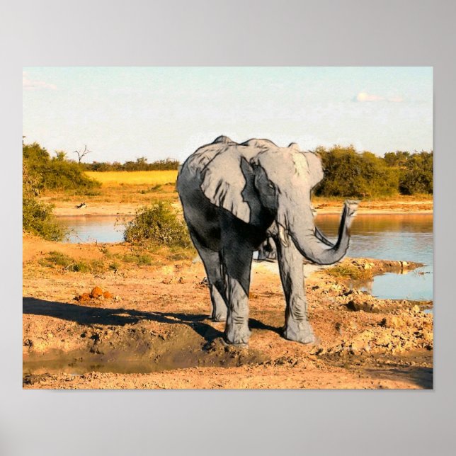 African Elephant Poster (Front)