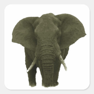African Elephant Square Sticker