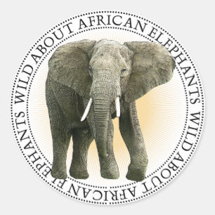 African Elephant Stickers