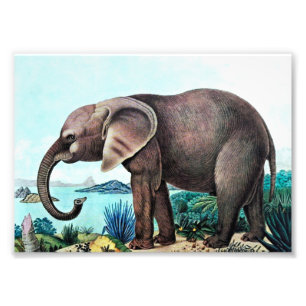 African Elephant Vintage Painting Photo Print