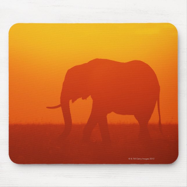 African elephant walking at sunset , Kenya , Mouse Mat (Front)