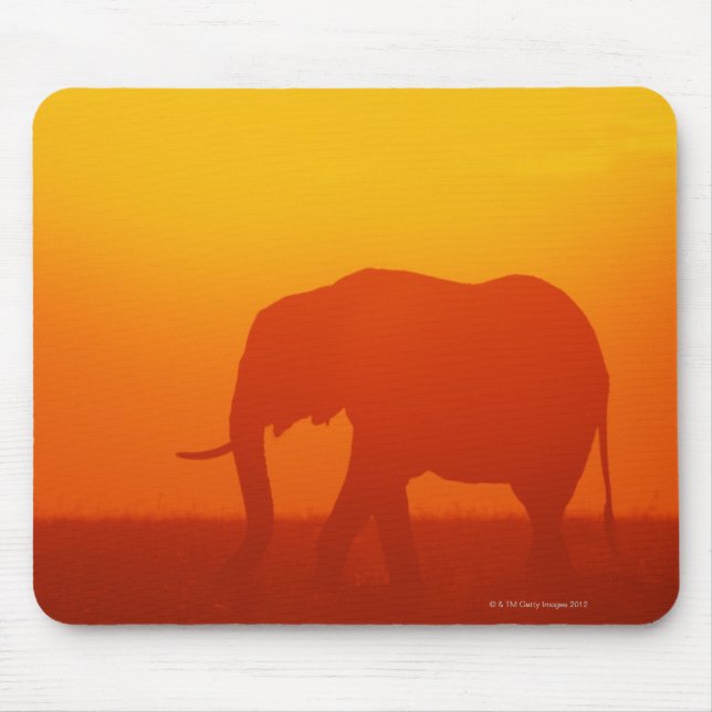 African elephant walking at sunset , Kenya Mouse Mat (Front)