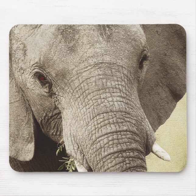 African elephant wildlife safari mousepads (Front)