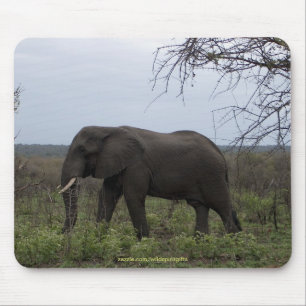 African Elephant Wildlife Supporter Mousepad