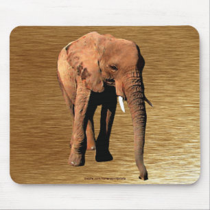 African Elephant Wildlife Supporter Mousepad