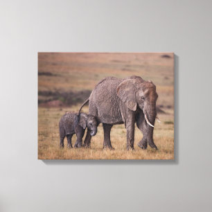 African Elephant with Baby Canvas Print