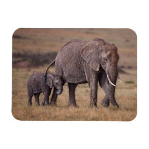 African Elephant with Baby Magnet