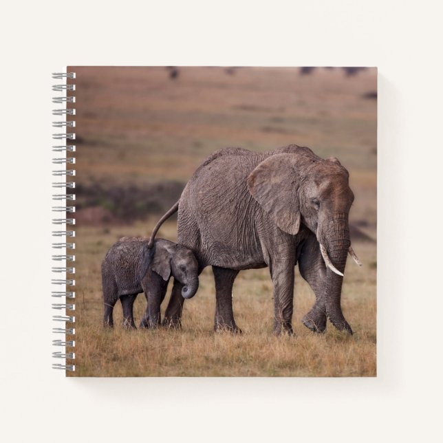 African Elephant with Baby Notebook (Front)