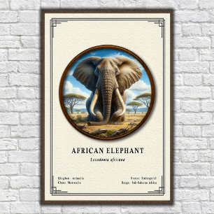 African Elephant Zoology Series Poster