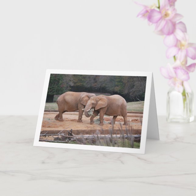 African Elephants Card (Orchid)