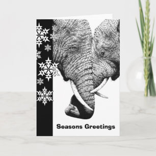African Elephants Christmas Card