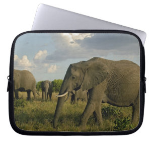 African Elephants grazing, Loxodonta africana, Laptop Sleeve