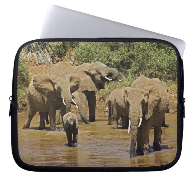 African Elephants, Loxodonta Africana, Samburu Laptop Sleeve (Front)