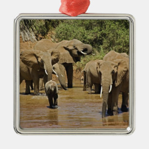 African Elephants, Loxodonta Africana, Samburu Metal Tree Decoration