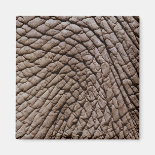 African elephant's (Loxodonta africana) skin Magnet