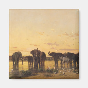 African Elephants Magnet