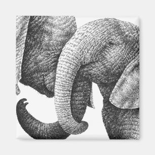 African Elephants Magnet