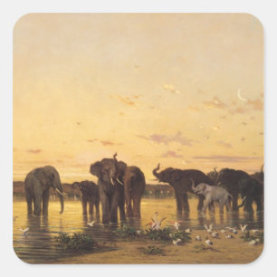 African Elephants Square Sticker