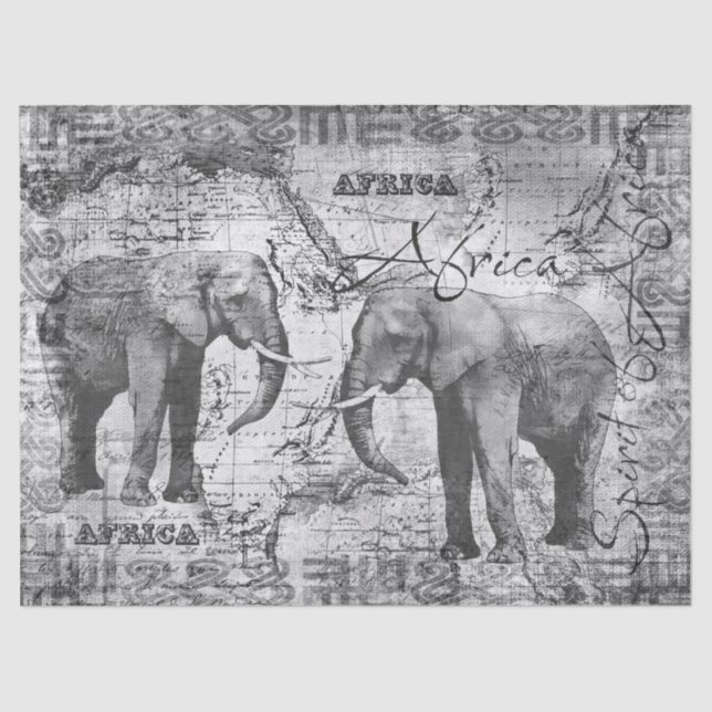 African Elephants Tissue Paper (Front)