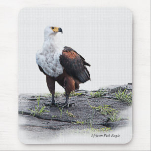 African Fish Eagle on white background Mouse Mat