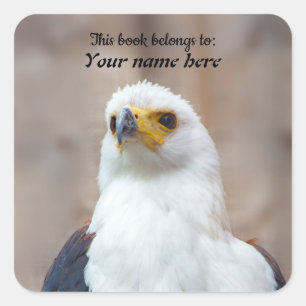 African Fish Eagle Sticker