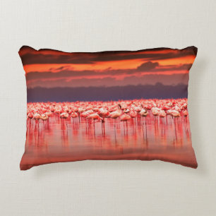 African flamingos in the lake over beautiful sunse decorative cushion